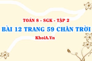 Bài 12 trang 59 Toán 8 Chân trời sáng tạo Tập 2